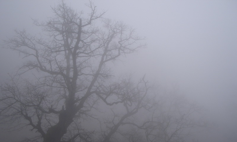 Последний рабочий день 2019 года будет туманным 