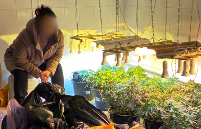 В Астрахани накрыли оборудованную наркоферму