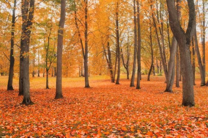 Завтра в Астрахани будет еще прохладнее