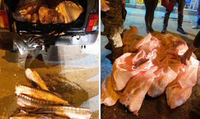 В короткой погони под Астраханью полиция остановила «Ниву» с 65 тушами краснокнижных осетровых