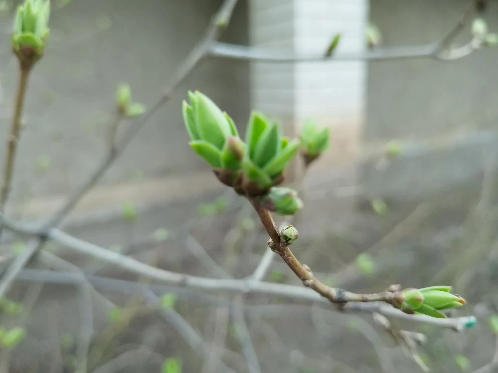 Столбик термометра в Астрахани вновь поднимется выше +20