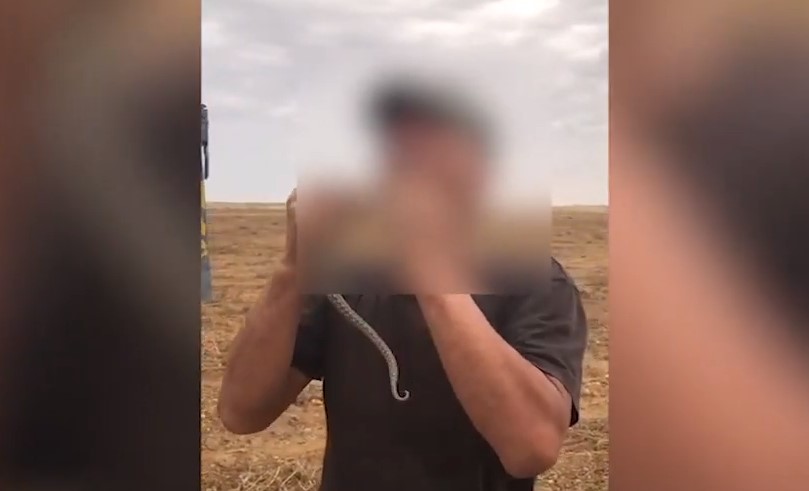 Астраханец показал фокус с проглатыванием змеи и умер: видео