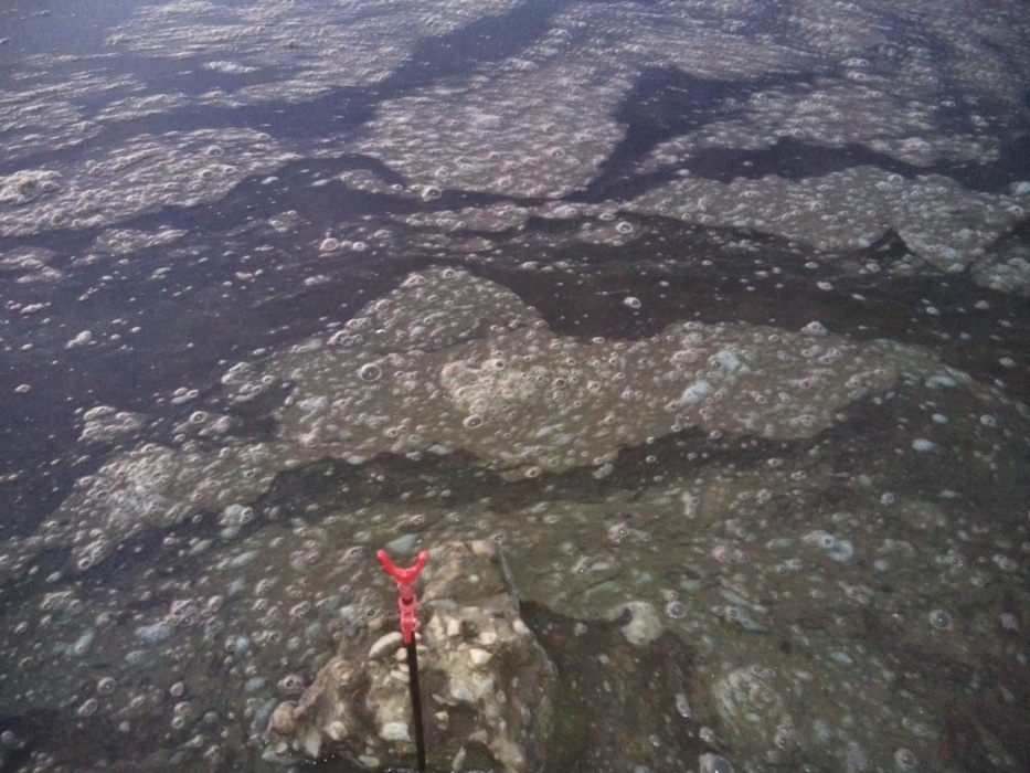 Астраханцы шокированы происходящим на пляже в поселке Красные Баррикады