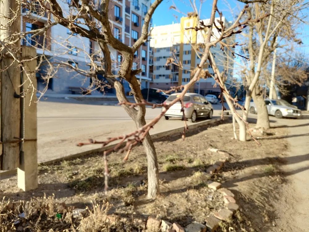 Завтра столбик термометра в Астраханской области поднимется выше +10