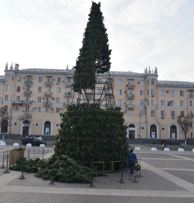 Астраханская елка вошла в ТОП-50 по высоте