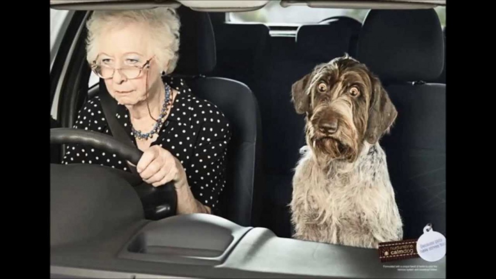 Летающие и висячие авто. ТОП-5 самых жестких астраханских ДТП