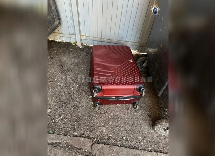 Стриптизер из Астрахани расчленил женщину в подмосковном Красногорске