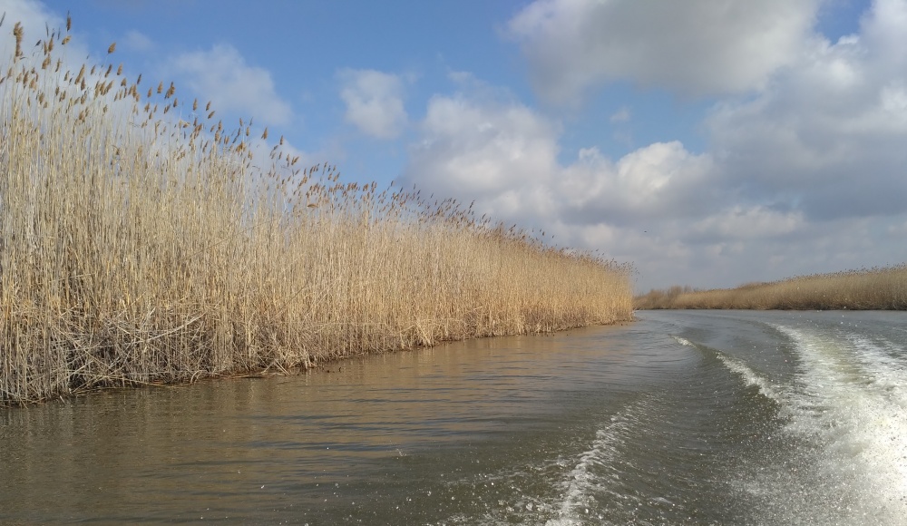 В раскатной части Астраханской области "потеряли" мужчину