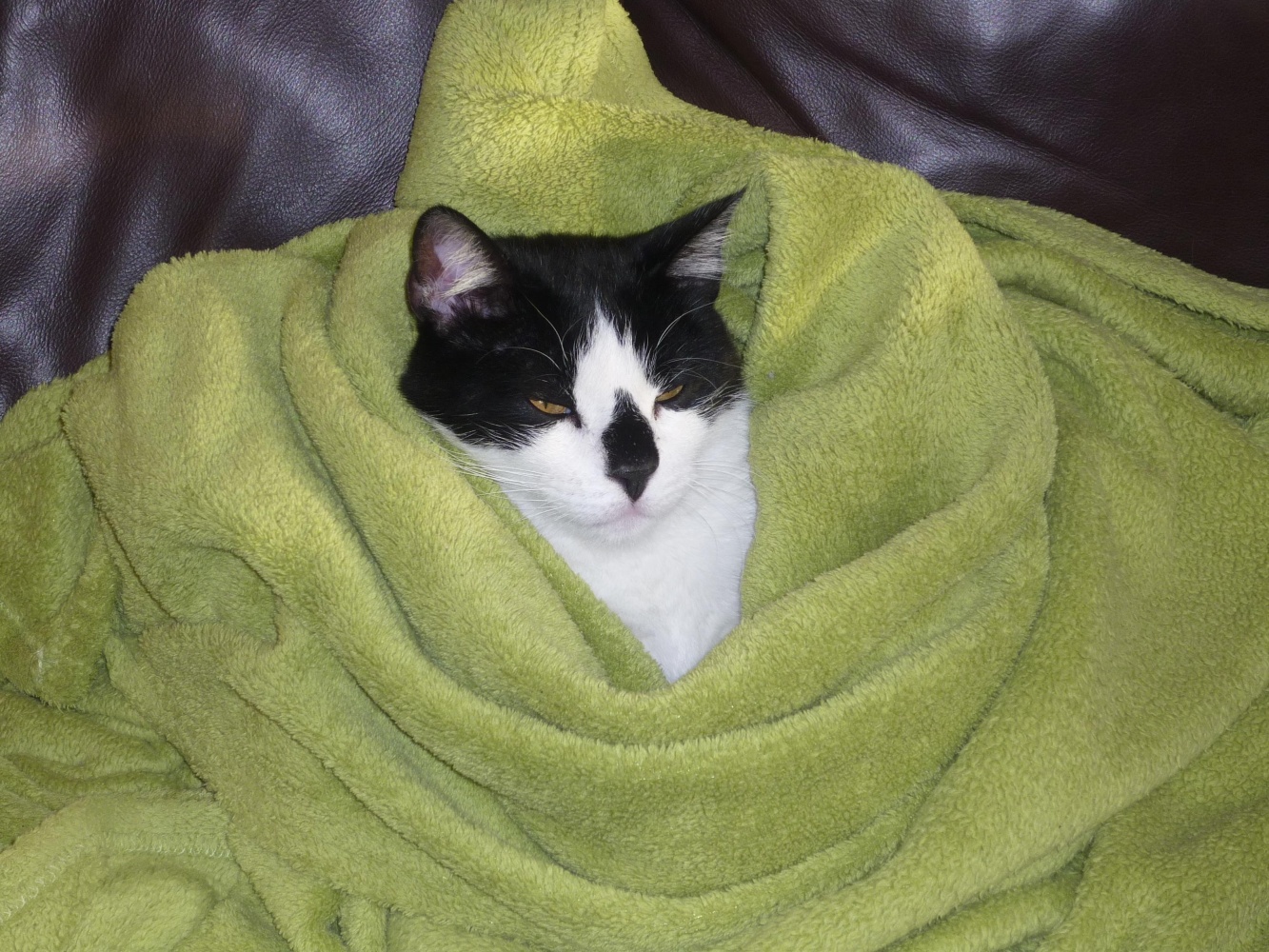 Резкий перепад температуры ждет астраханцев завтра