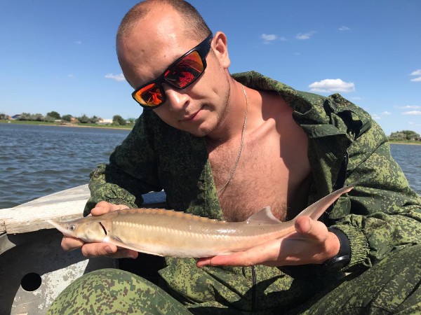 В Астрахани стерлядка ловится на червя