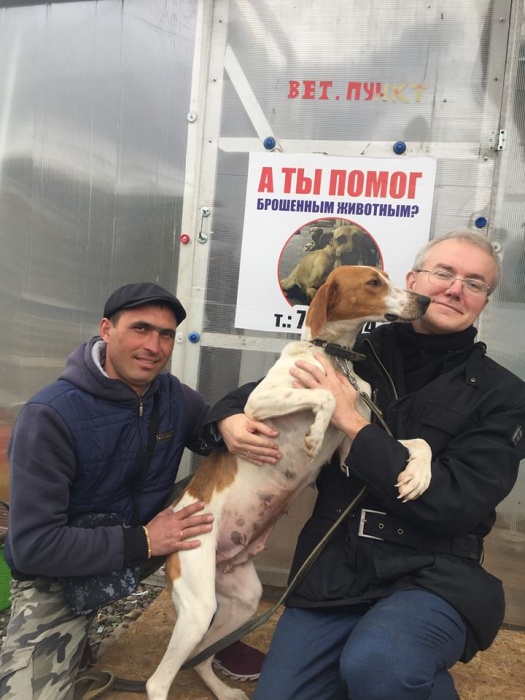 Депутат Госдумы Олег Шеин нашёл дом бездомной собаке