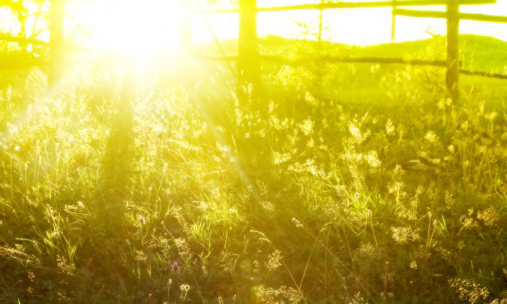 Назван самый солнечный день лета в Астраханской области