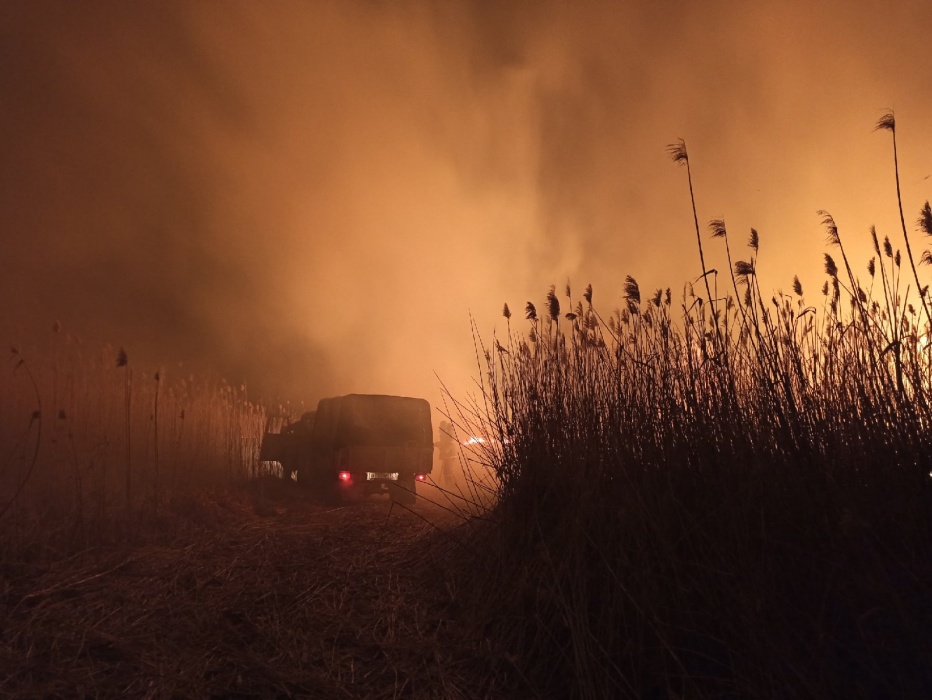 Горел, как порох: хроники тушения и кадры масштабного пожара в Астраханском заповеднике
