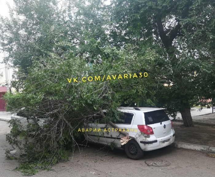 В Астрахани на автомобиль обрушилось дерево