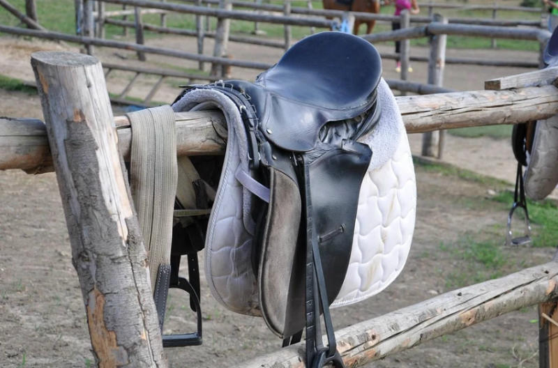 Астраханцам не разрешают вести лошадиный бизнес в центре города