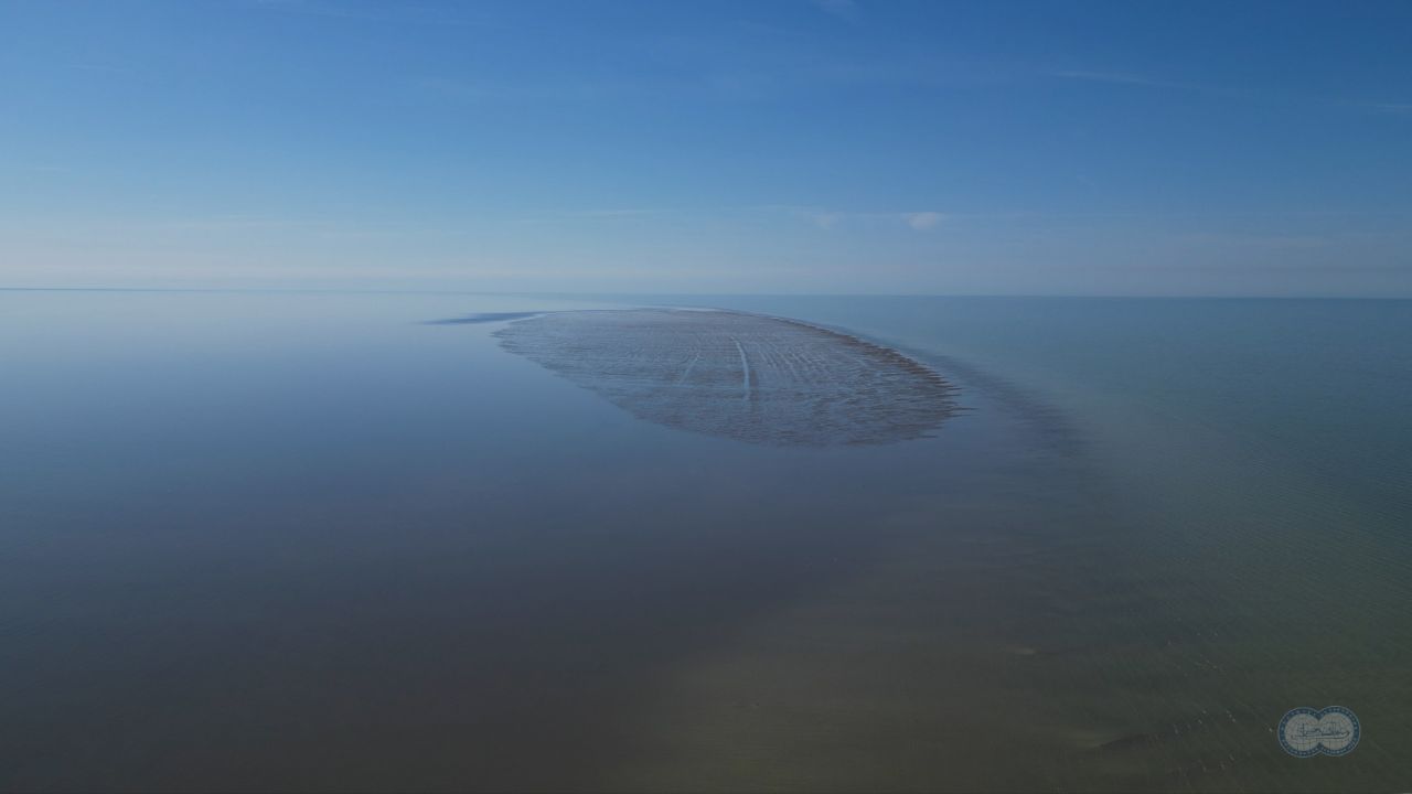 Астраханские ученые сделали сенсационное открытие на Каспии