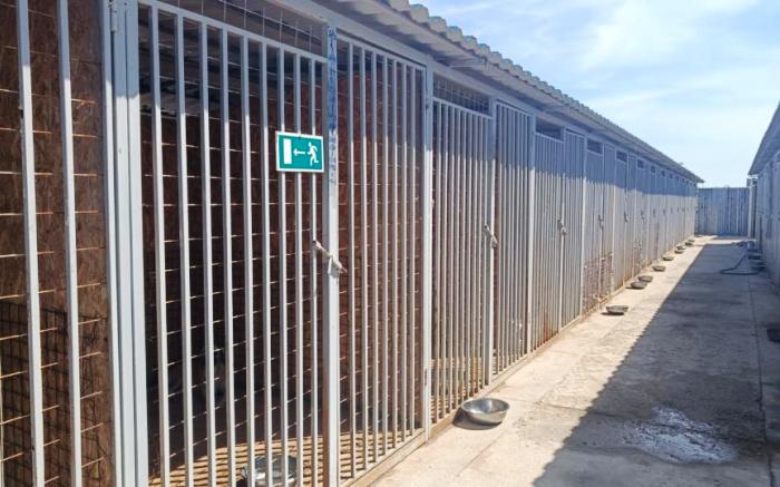 Близ Астрахани планируется открыть еще один ПВС для бесхозных собак