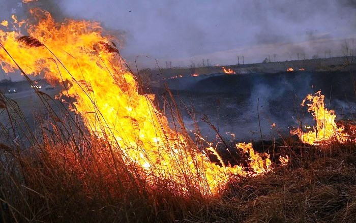 МЧС предупреждает: в Астраханской области на понедельник и вторник  ожидается чрезвычайная пожароопасность