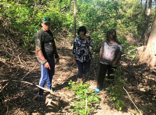 Двое астраханцев уничтожили целую ясеневую рощу