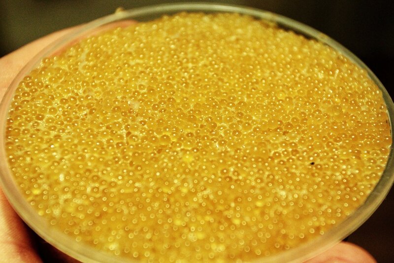 "ГАЗель", напичканную рыбой, задержали в Астраханской области