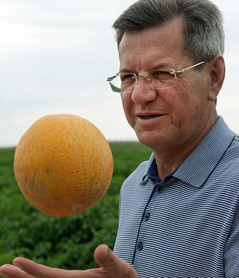 Александр Жилкин – о тактике и стратегии битвы за урожай