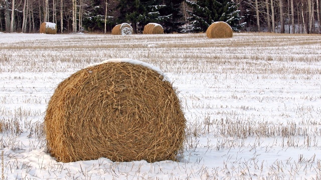 Под Астраханью сгорело сено