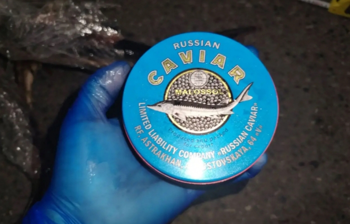В Астраханской области ГИБДД задержала машину с осетровыми и черной икрой