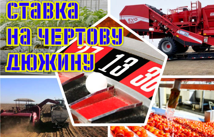 В Астраханской области большие надежды с развитием агропрома связаны с 13 инвестпроектами