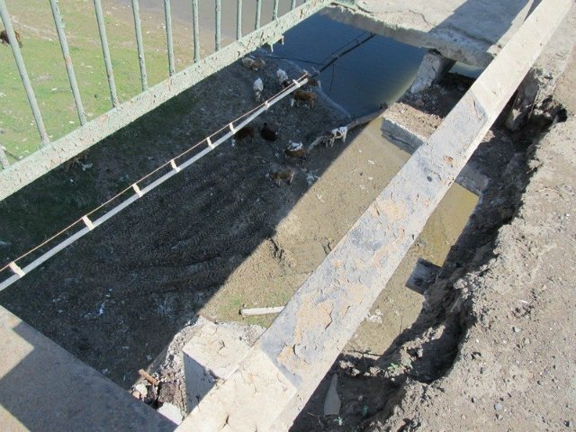 Бывший гендиректор «Астраханьавтодор» осужден к двум годам колонии