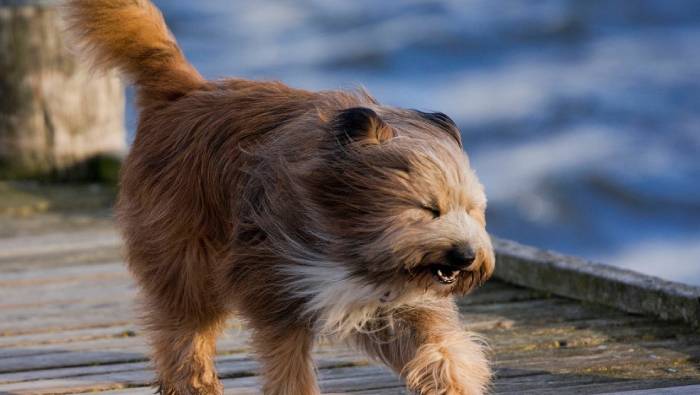 Будьте осторожны: сегодня в Астрахани ожидается сильный ветер