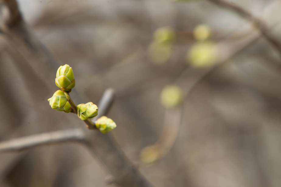 В понедельник в Астрахани потеплеет