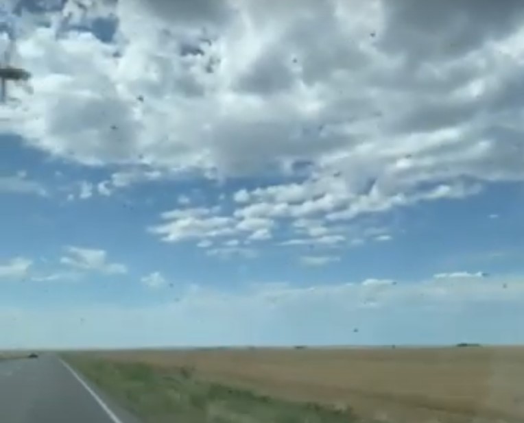 На Астрахань надвигается полчище насекомых: видео