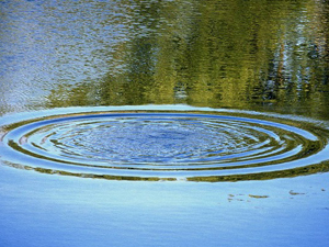 В селе Икряное утонул 6-летний мальчик