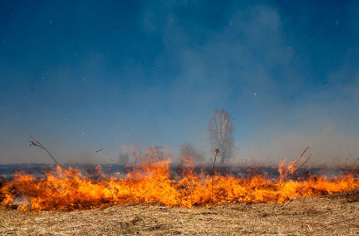 Астраханцев предупредили о чрезвычайной пожароопасности