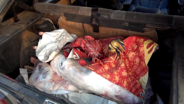 Под Астраханью фермеры украли больше 200 овец