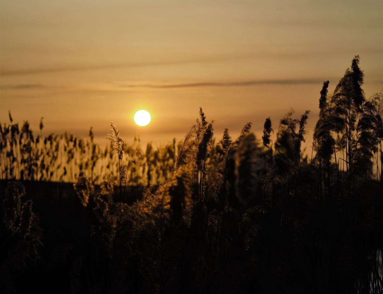 Астраханцы делятся снимками красивого вечернего заката: фото