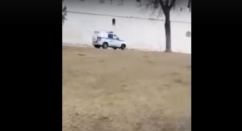 Пользователей соцсетей возмутило поведение сотрудников ППС