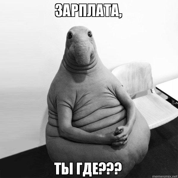 В Астрахани директор "Каспрыбпроект" снят с должности