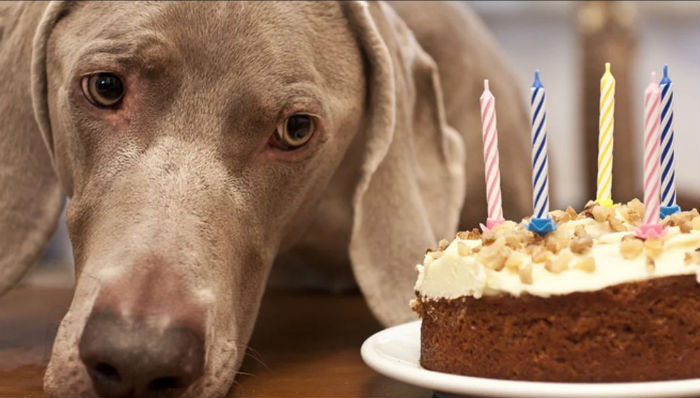 Сотрудник мебельного магазина испортил астраханке юбилей