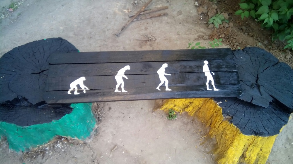 В Астрахани сфотографировали необычную, но развитую лавочку