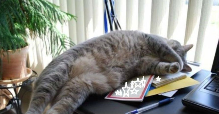 Ближайшие длинные выходные ждут астраханцев в феврале