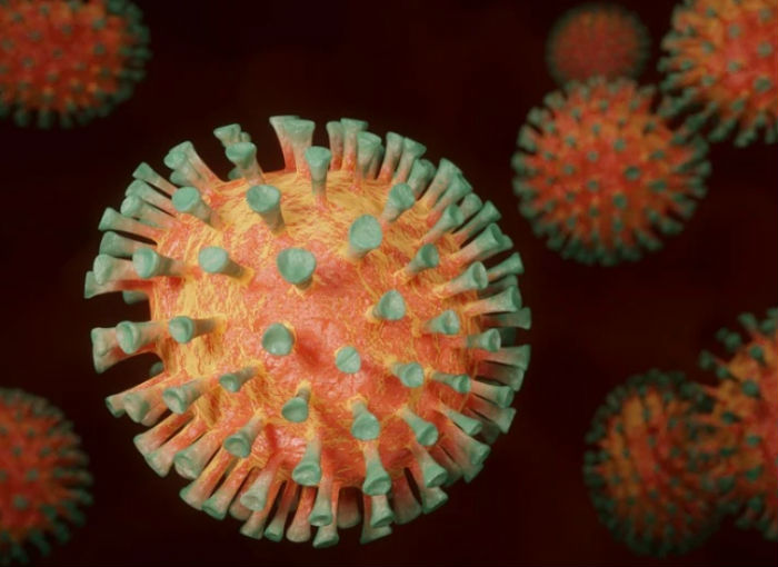 За минувшие сутки в России скончалось рекордное количество зараженных коронавирусом