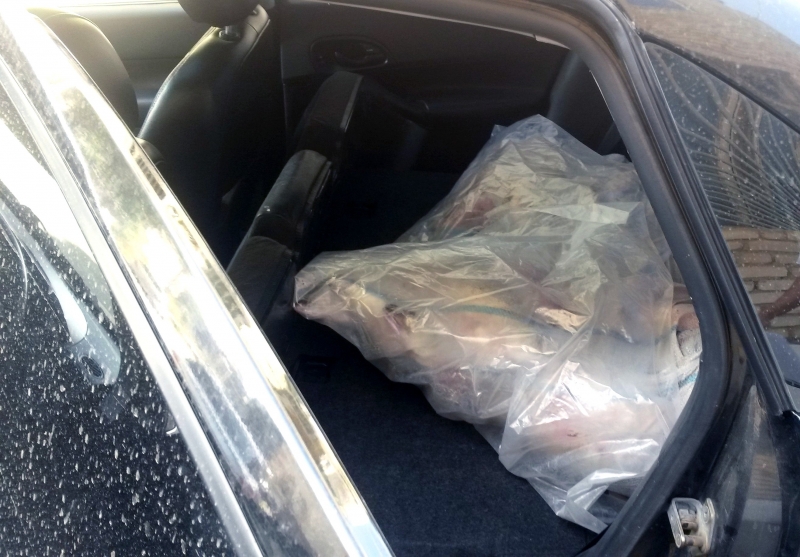 Полиция изъяла у астраханца 200 килограмм судака без документов