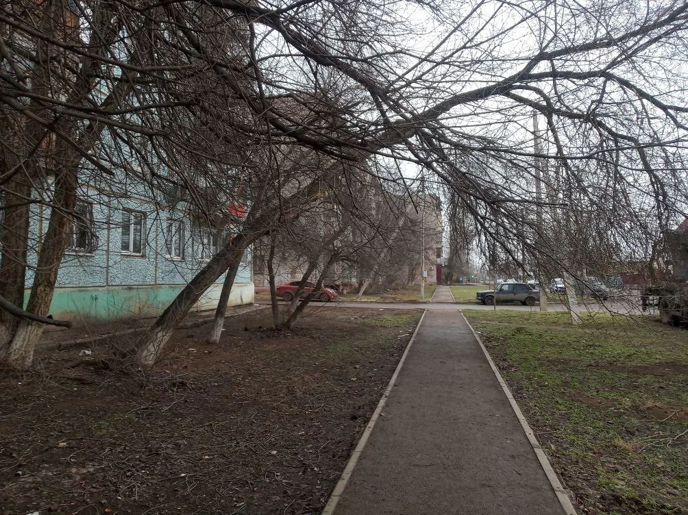 Астраханские коммунальщики приступили к опиловке опасных деревьев на Безжонова 