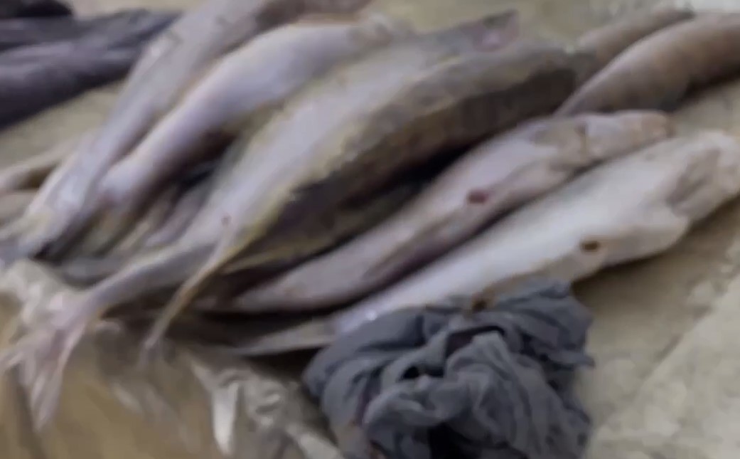 На рынках Астрахани изъяли 350 кг сомнительной рыбы