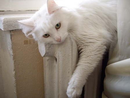 В Астрахани 8 апреля завершится отопительный сезон 