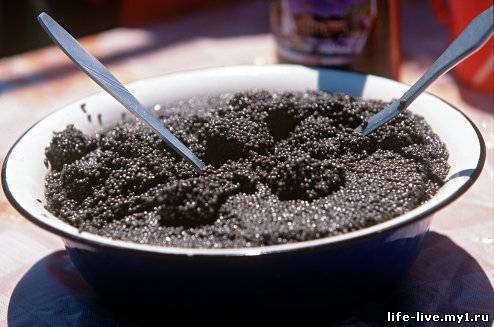 В Астраханской области произвели 300 кило черной икры