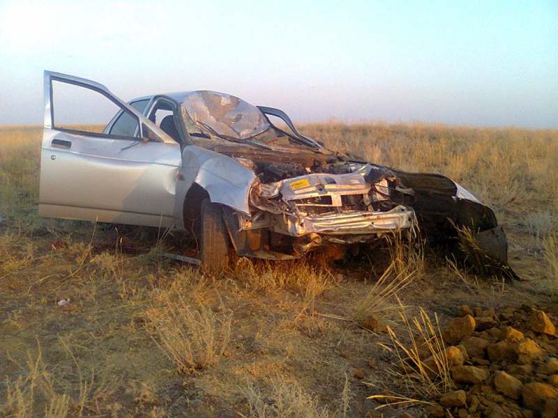 За час на одном участке трассы произошло два ДТП из-за крупного рогатого скота