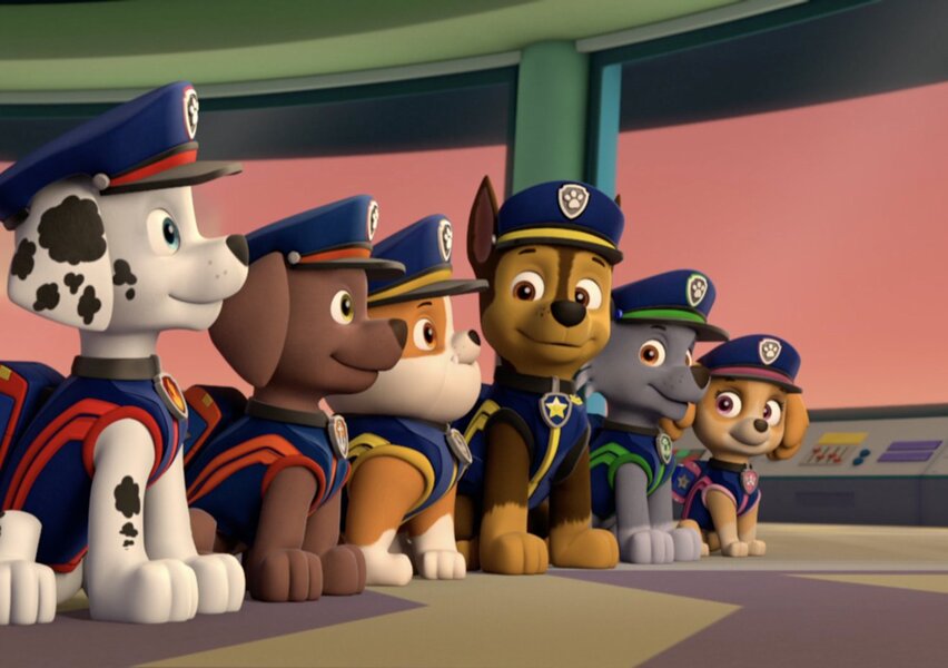 Астраханцы хотят видеть на улицах города «щенячий патруль»