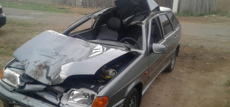 Под Астраханью автомобиль врезался в верблюда: три человека пострадали, животное погибло